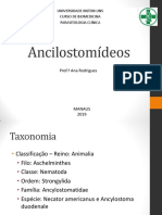 Ancilostomídeos: características, ciclo de vida e diagnóstico