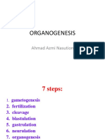 organogenesis