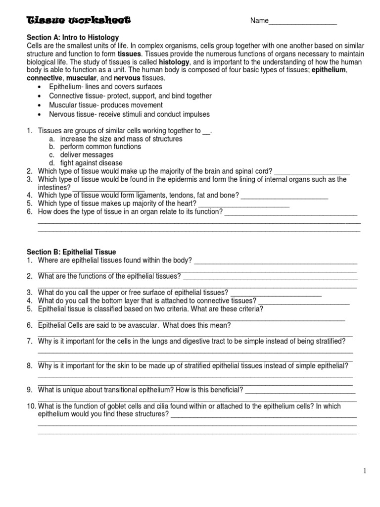Tissues Review Packet | PDF | Epithelium | Tissue (Biology)