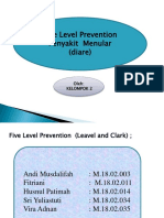 Ppt 5 Level Preventif