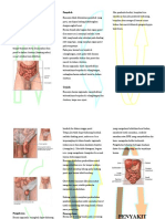 Leaflet Hernia