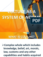 Culture As A System of Norms