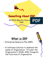 Something About ERP