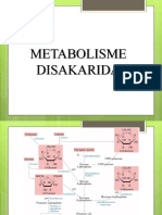 Metabolisme Disakarida