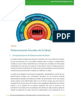 Determinantes Sociales de la Salud.pdf