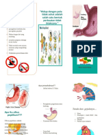 Ulkus-Peptikum-Leaflet.doc