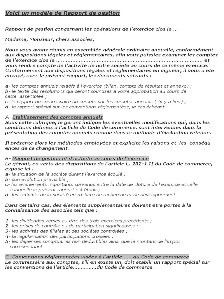 1 Modele Rapport De Gestion A Pdf Dividende Impots