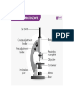 Compound Microscope