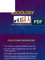 Human Evolution