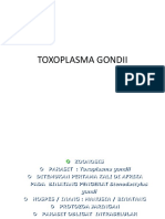 Toxoplasma Gondii