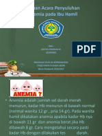 Anemia Pada Ibu Hamil