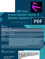 SOX2 SRY-box Transcription Factor 2 (Homo Sapiens