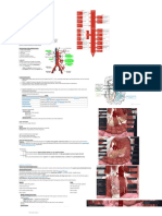 Abdomen and Pelvic Circulation 164