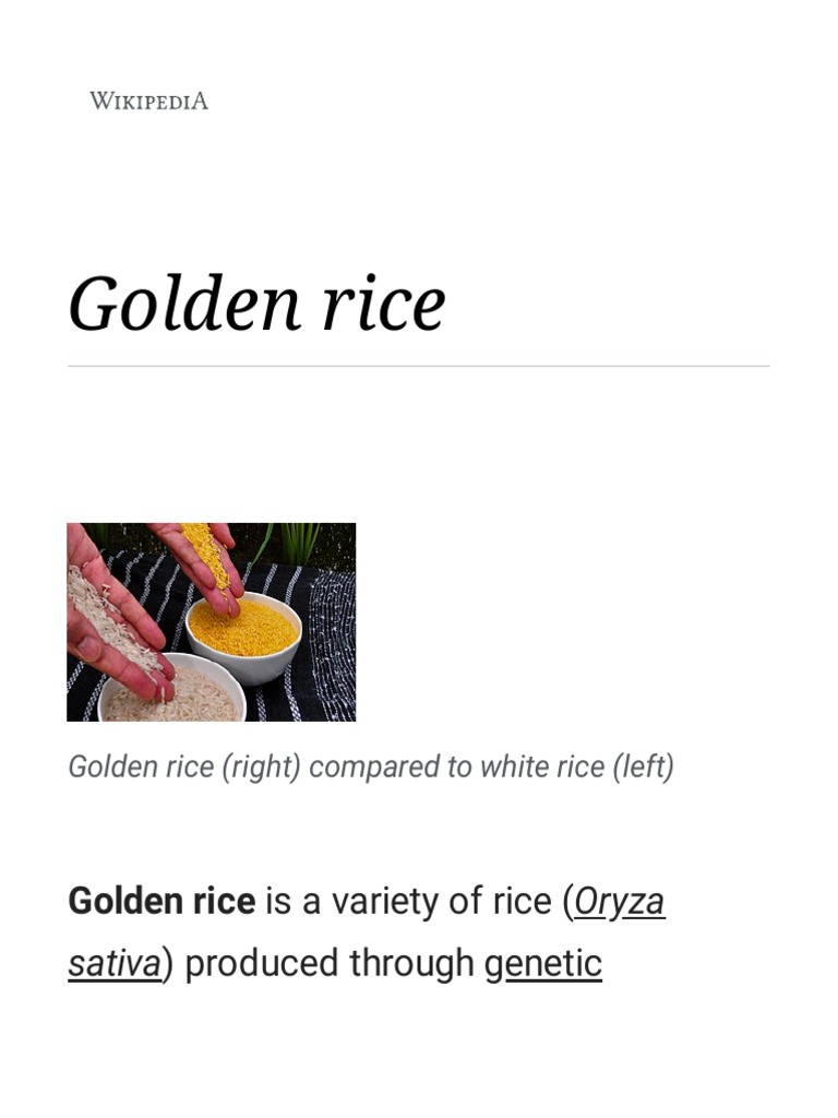 Golden Rice | PDF | Food And Drink | Foods