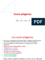 Cocos Piógenos