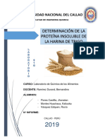 Informe Adicional - Determinacion de Humedad en Harina de Trigo - Gluten