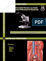 Aparato urinario: riñones, ureteres, vejiga y uretra