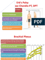 Erb's Palsy: Causes, Signs, Treatment & Development