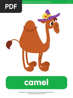 Alice The Camel Flashcards