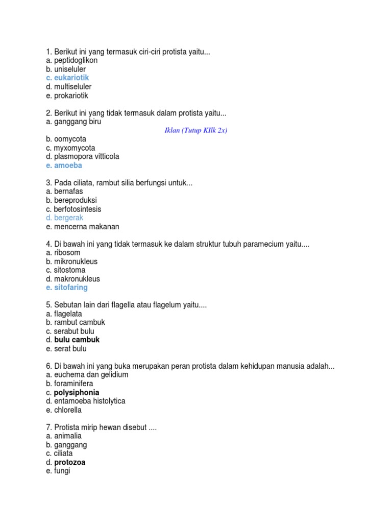 Ptotista Exam Docx