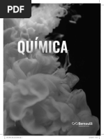 Revisão consultec bernoull