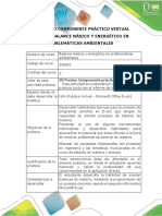 Protocolo Practica Virtual.pdf