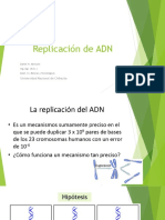 Replicación de ADN 19