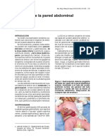 03_Defectos-pared-abdominal_258.pdf