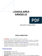 98681925-Coagularea-sangelui