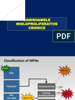 Copy of Sindroamele Mieloproliferative Cronice Studenti