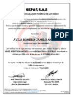 Avila Romero Camilo Andres