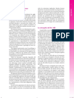 cadenas miofasciales.pdf