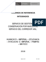 TDR Integrados Huancayo - Ayacucho 16 01 19 VR Final PDF