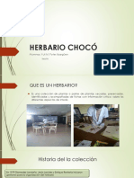 Herbario Chocó