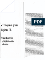 TELMA BARREIRO Trabajos en Grupo CAP 3.pdf