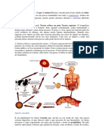 Teniase e Cisticercose