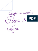 Fluxo de Ága PDF