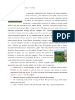 La Pensiunea Agroturisticǎ Casa Voinescu Din Valea PDF