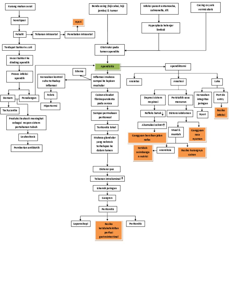 Pathway Apendisitis dan Peritonitis | PDF