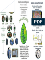 Infografía ECOFIIS PDF