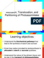  Allocation Translocation and Partitioning of Photoassimilates