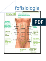 Morfofisiologia Del Sistema Digestivo