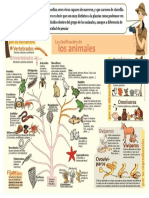 Infografia Las Plantas