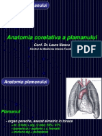 Pneumo PDF