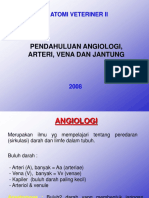 28978041-Angiologi-Anatomi-Vet-II-FKH-UNSYIAH.ppt