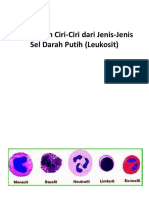 Fungsi Dan Ciri-Ciri Dari Jenis-Jenis Sel Darah Putih