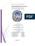 Informe Bebida de Soya