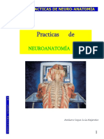 Practicas de Neuroanatomia