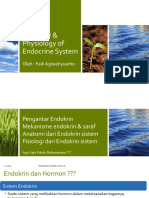 Anatomy & Physiology of Endocrine