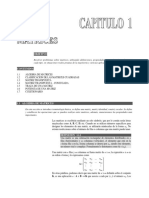 MATRICES.pdf